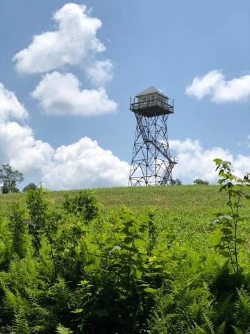 One of the few remaining fire towers